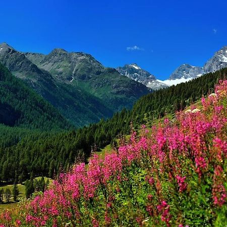 Appartamenti Edelweiss Chaudana Εξωτερικό φωτογραφία