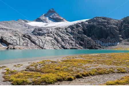 Appartamenti Edelweiss Chaudana Εξωτερικό φωτογραφία