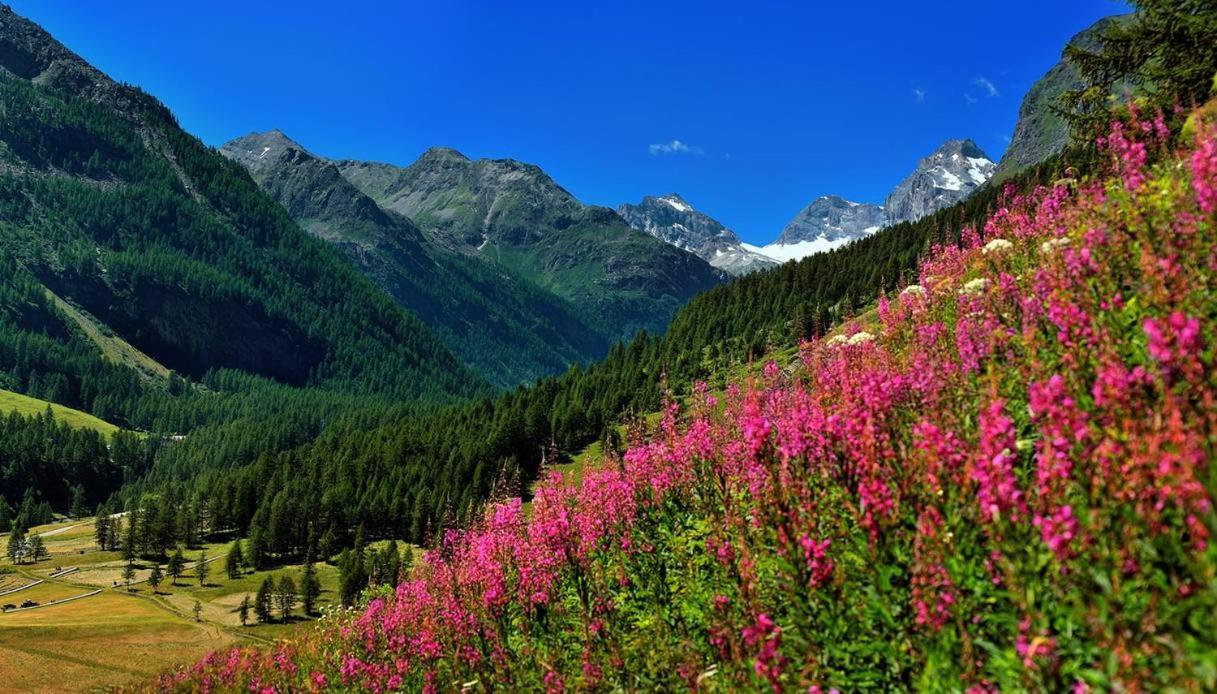 Appartamenti Edelweiss Chaudana Εξωτερικό φωτογραφία